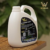 Siro Wing Việt quất